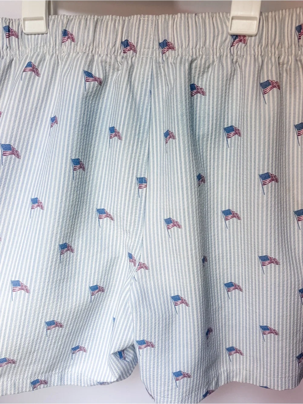 Mens Hollister Swim Trunk Stripes with Flag Print - Light Blue & White